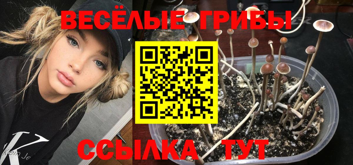 Галлюциногенные грибы ЛСД Димитровград