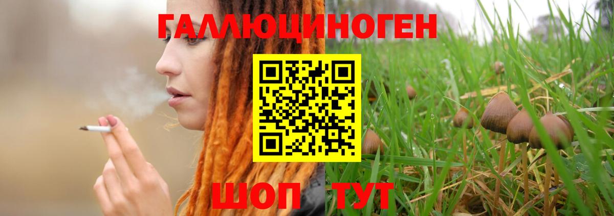 Псилоцибиновые грибы Psilocybe  Псилоцибиновые грибы Psilocybine cubensis  Димитровград  Вход с VPN 